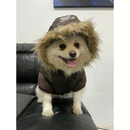 Dog Winter Fashion Jacket