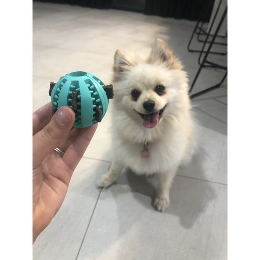 Mini Rubber Spikes Dog Treat Ball