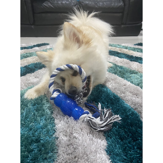 Dog Plastic Chew With Rope